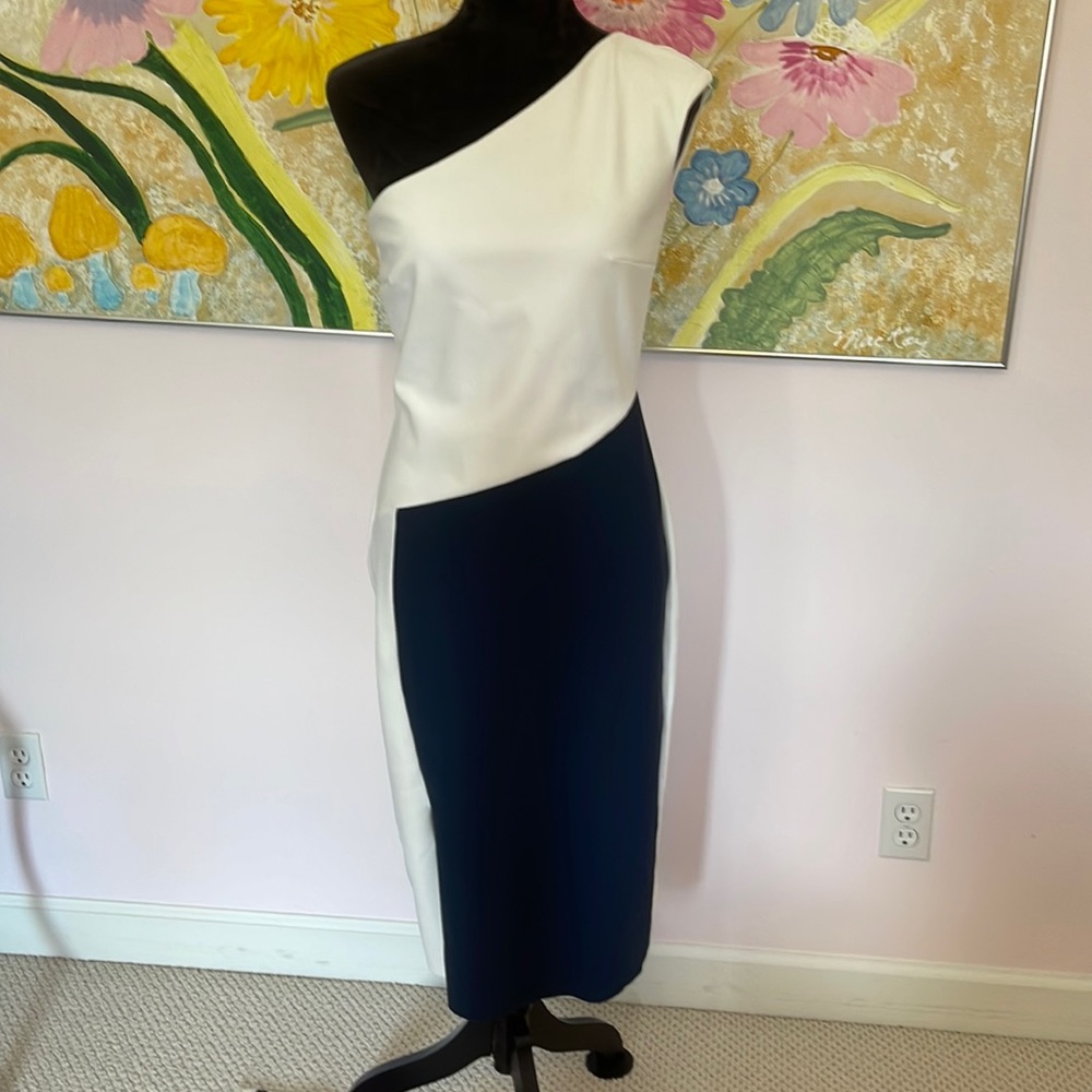 The Ultimate best fit dress. Chiari Boni La Petit Robe